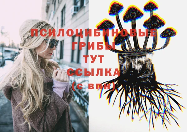 первитин Алексеевка