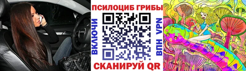 Псилоцибиновые грибы Psilocybe  хочу наркоту  Ишим 