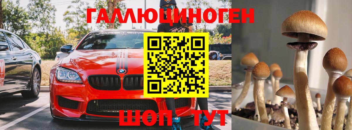 закладка  Вход с VPN  Ишим  Галлюциногенные грибы мицелий 
