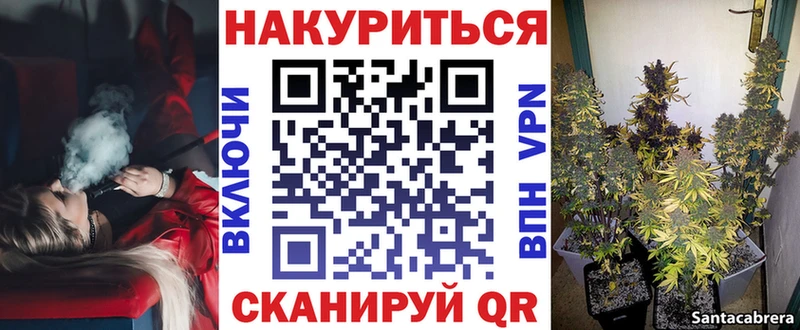 Конопля гибрид Ишим